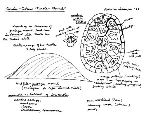 'Turtle Mound' drawing